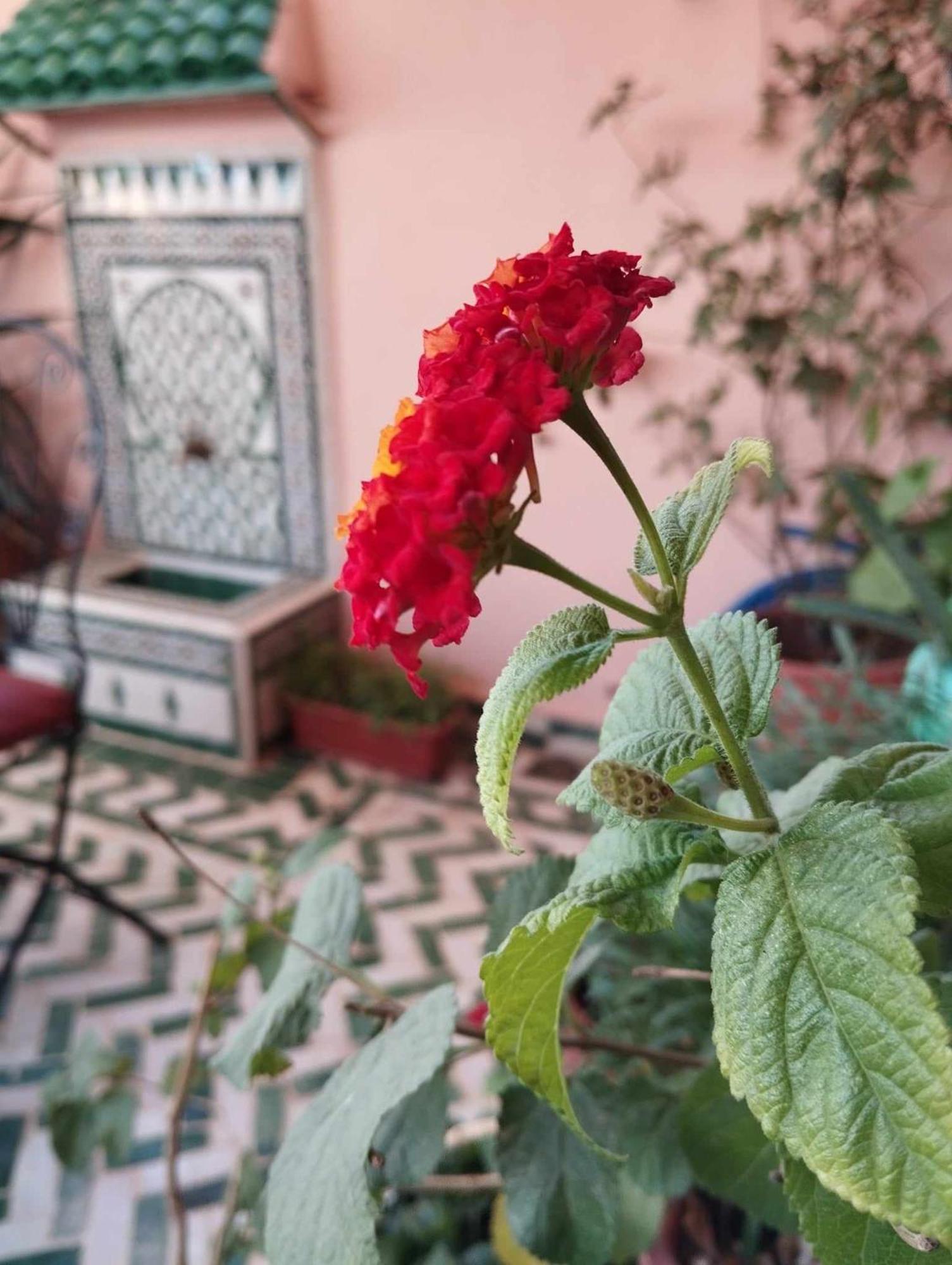 Dar Lantana Hotel Fes Exterior photo